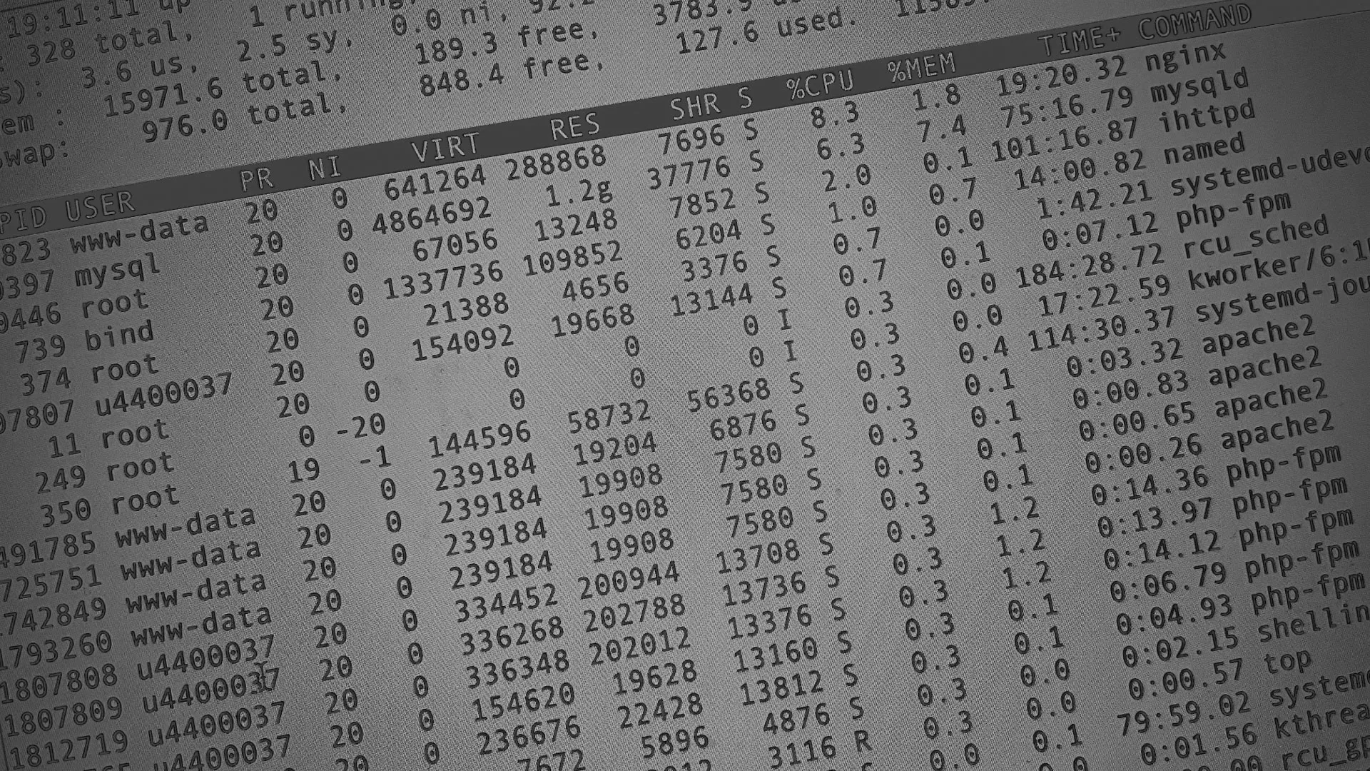 Настройка сервера в Спасске-Рязанском Настройка сервера в Спасске-Рязанском