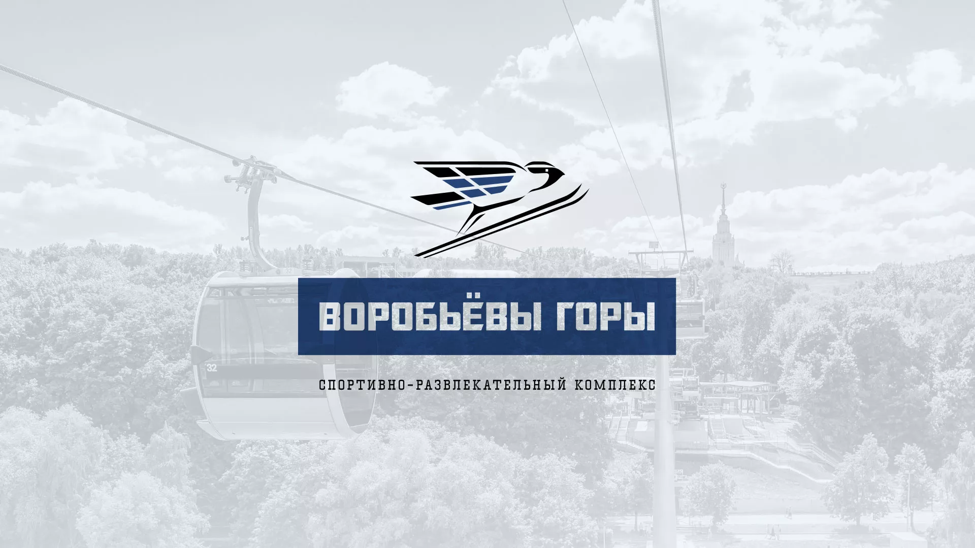 Разработка сайта в Спасске-Рязанском для спортивно-развлекательного комплекса «Воробьёвы горы»