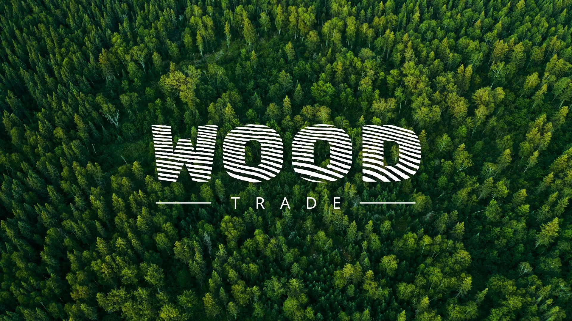 Разработка интернет-магазина компании «Wood Trade» в Спасске-Рязанском